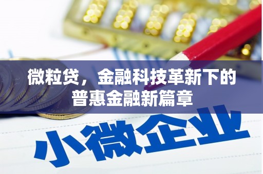 连江微粒贷，金融科技革新下的普惠金融新篇章