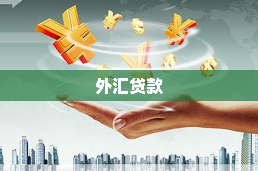 连江外汇贷款