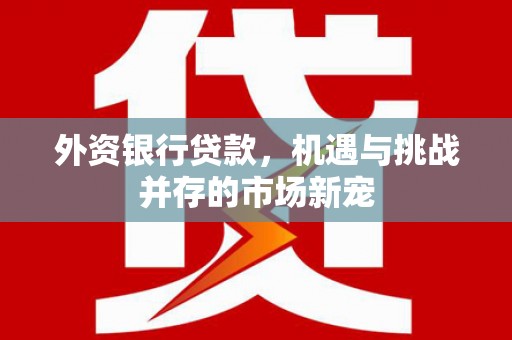 连江外资银行贷款，机遇与挑战并存的市场新宠