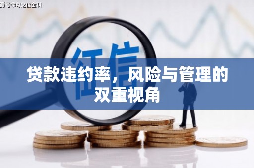 连江贷款违约率，风险与管理的双重视角