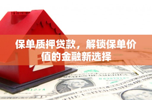连江保单质押贷款，解锁保单价值的金融新选择