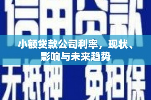 连江小额贷款公司利率，现状、影响与未来趋势