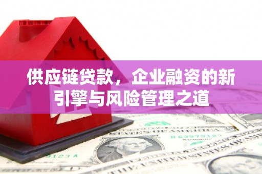 连江供应链贷款，企业融资的新引擎与风险管理之道