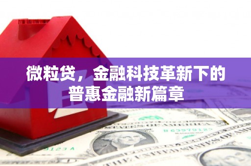 连江微粒贷，金融科技革新下的普惠金融新篇章