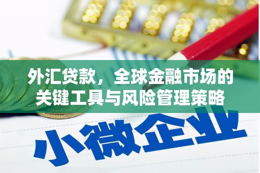 连江外汇贷款，全球金融市场的关键工具与风险管理策略