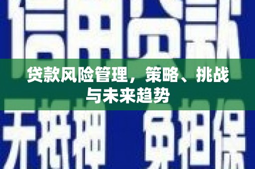 连江贷款风险管理，策略、挑战与未来趋势