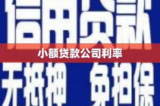 连江小额贷款公司利率