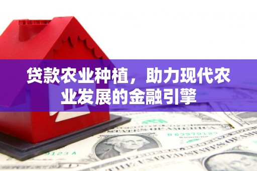 连江贷款农业种植，助力现代农业发展的金融引擎