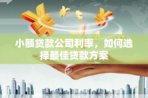 连江小额贷款公司利率，如何选择最佳贷款方案