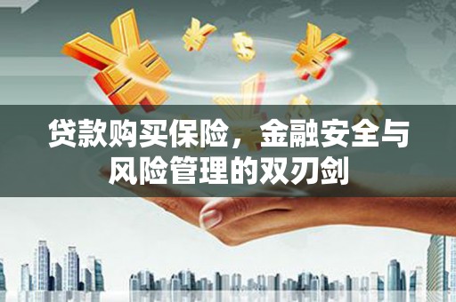 连江贷款购买保险，金融安全与风险管理的双刃剑
