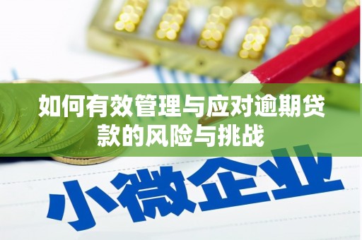 连江如何有效管理与应对逾期贷款的风险与挑战
