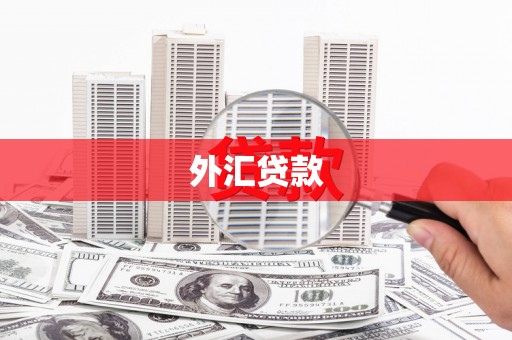 连江外汇贷款