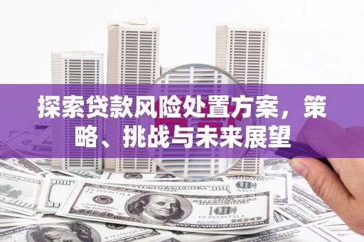 连江探索贷款风险处置方案，策略、挑战与未来展望