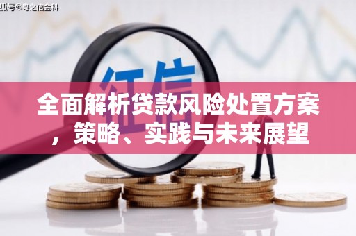 连江全面解析贷款风险处置方案，策略、实践与未来展望