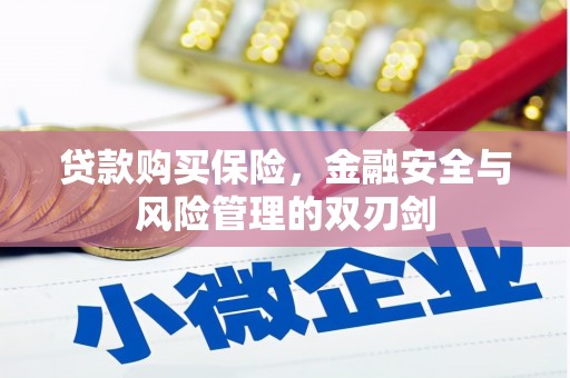 连江贷款购买保险，金融安全与风险管理的双刃剑