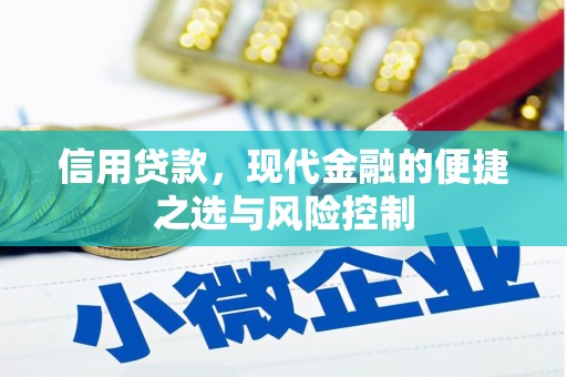 连江信用贷款，现代金融的便捷之选与风险控制