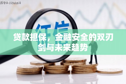 连江贷款担保，金融安全的双刃剑与未来趋势
