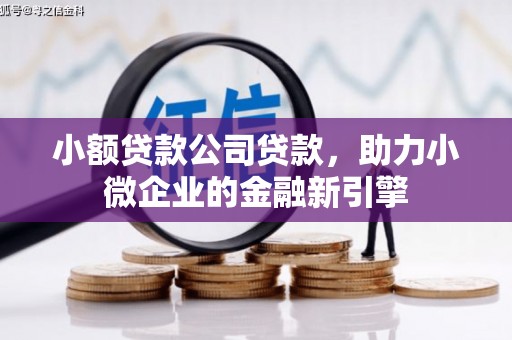 连江小额贷款公司贷款，助力小微企业的金融新引擎