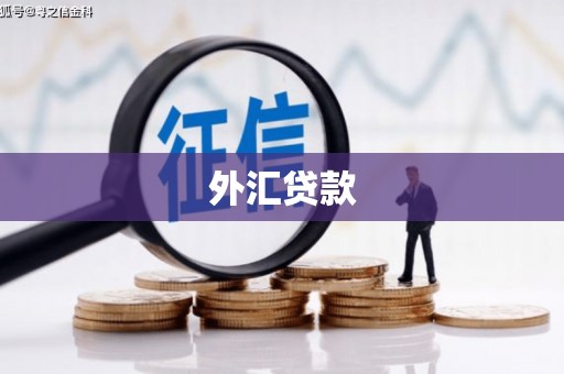 连江外汇贷款