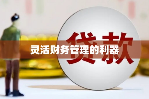 连江灵活财务管理的利器