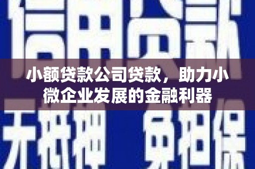 连江小额贷款公司贷款，助力小微企业发展的金融利器