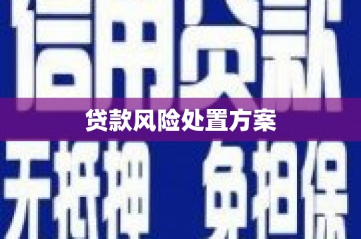 连江贷款风险处置方案