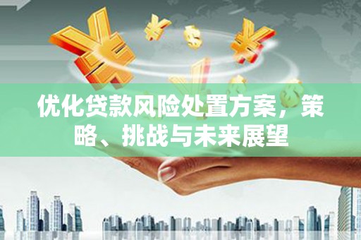 连江优化贷款风险处置方案，策略、挑战与未来展望