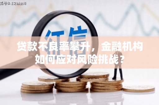 连江贷款不良率攀升，金融机构如何应对风险挑战？