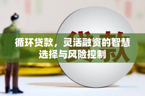 连江循环贷款，灵活融资的智慧选择与风险控制