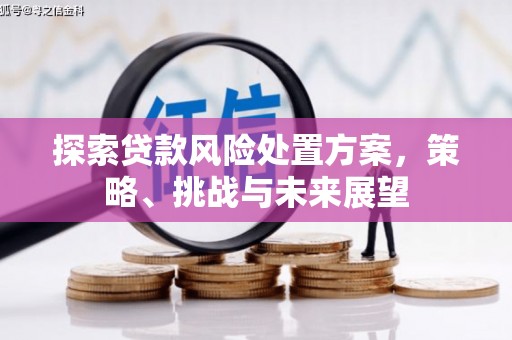连江探索贷款风险处置方案，策略、挑战与未来展望