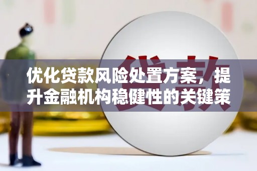 连江优化贷款风险处置方案，提升金融机构稳健性的关键策略