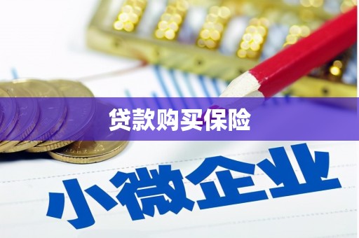 连江贷款购买保险
