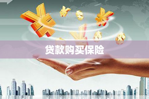连江贷款购买保险