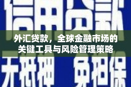 连江外汇贷款，全球金融市场的关键工具与风险管理策略