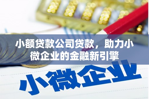 连江小额贷款公司贷款，助力小微企业的金融新引擎