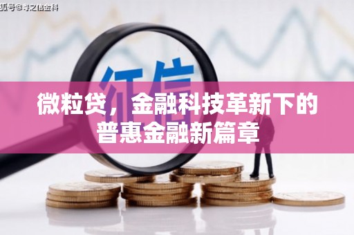 连江微粒贷，金融科技革新下的普惠金融新篇章