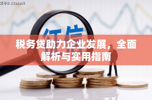 连江税务贷助力企业发展，全面解析与实用指南