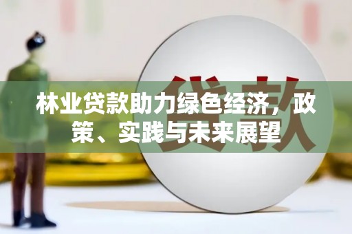 连江林业贷款助力绿色经济，政策、实践与未来展望