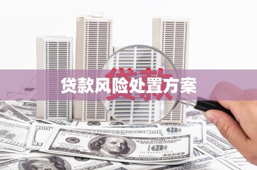 连江贷款风险处置方案